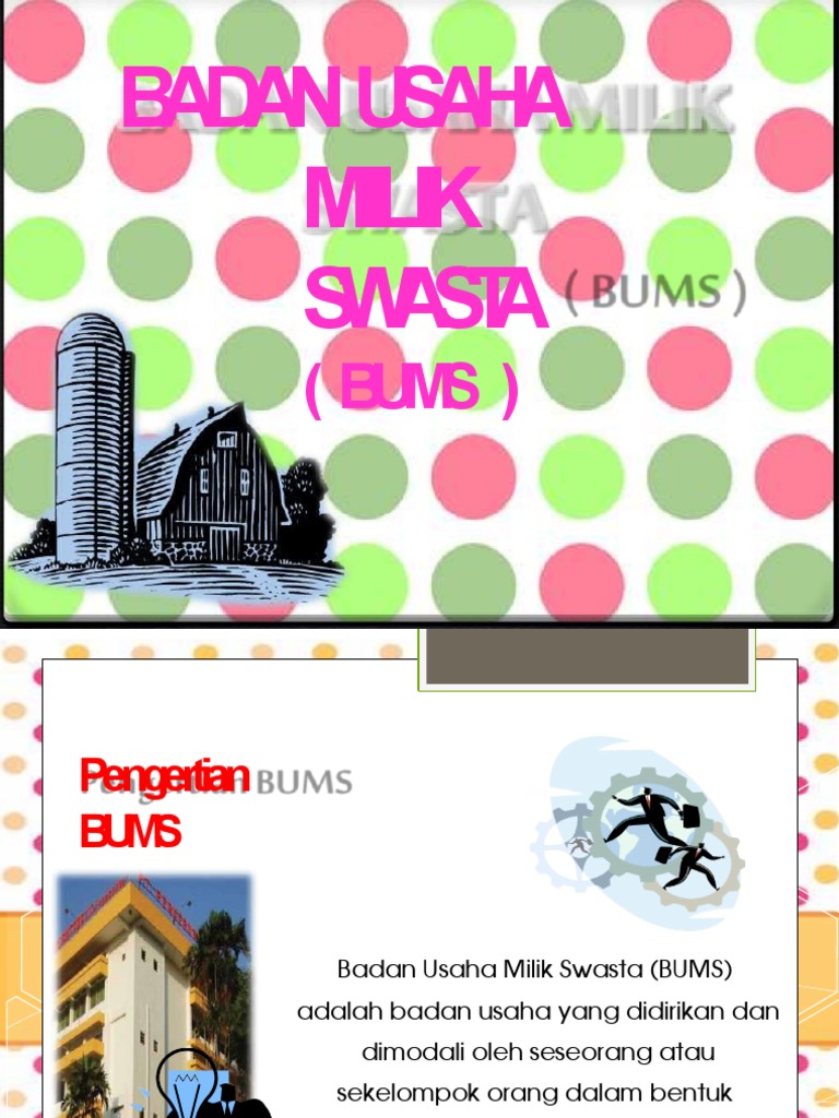 Panduan Lengkap Badan Usaha Milik Swasta | PDF