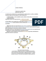 7. ARTICULATIILE CAPULUI