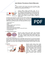 10 Penyakit Pada Sistem Peredaran Darah Manusia