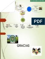 INFOGRAFIA RAMAS DEL PODER PUBLICO - Ipptx