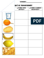 ¿En Qué Se Transformó?: Alimento ¿Cómo Era Antes? ¿Cómo Cambió Después?