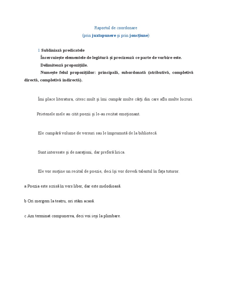 Raportul de Coordonare | PDF