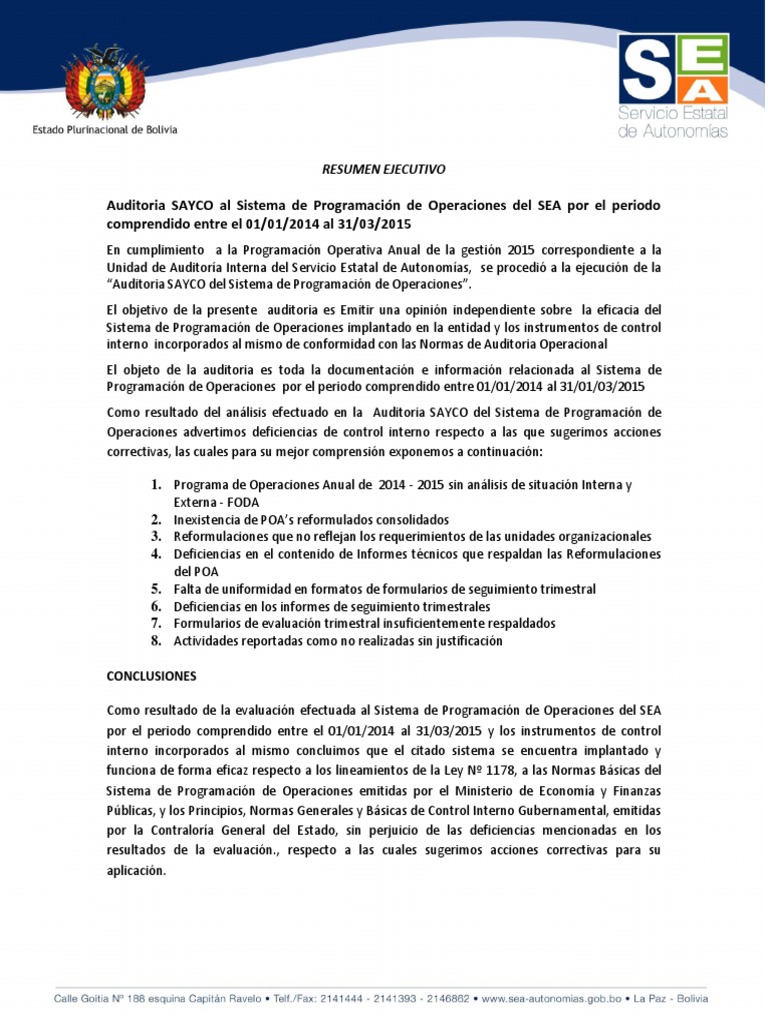 Auditoria Sayco SPO Resumen Ejecutivo | PDF | Auditoría | Business
