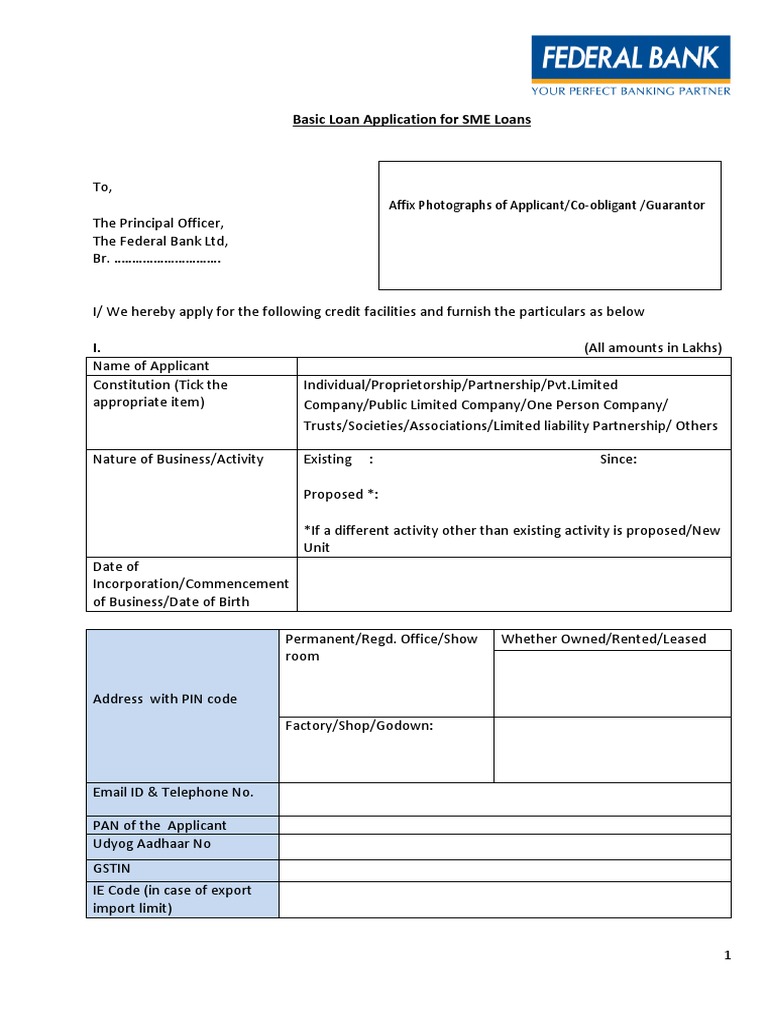 SME Loan Application and Co-Obligant Details | PDF | Credit | Finance ...