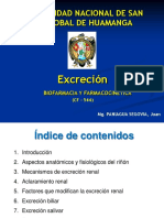 6° Excrecion