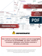 PDF-04 - Espécies de Prisão e Provas