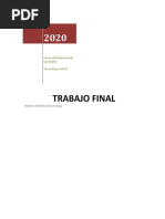 Trabajo Final (Paola Iturrioz) Reescrito.
