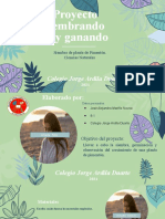 Plantilla Proyecto Pimenton