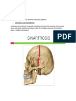 Trabajo de Medicina