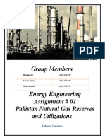 Pakiistan Natural Gas Rerserves and Utilizations