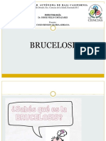 Brucelosis