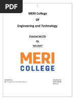 MERI College of Engineering and Technology: Practical Lab File On "MS-DOS"