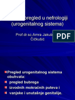 7.klinicki Pregled Urogenitalnog Sistema