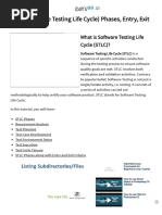 STLC (Software Testing Life Cycle) Phases, Entry, Exit Criteria