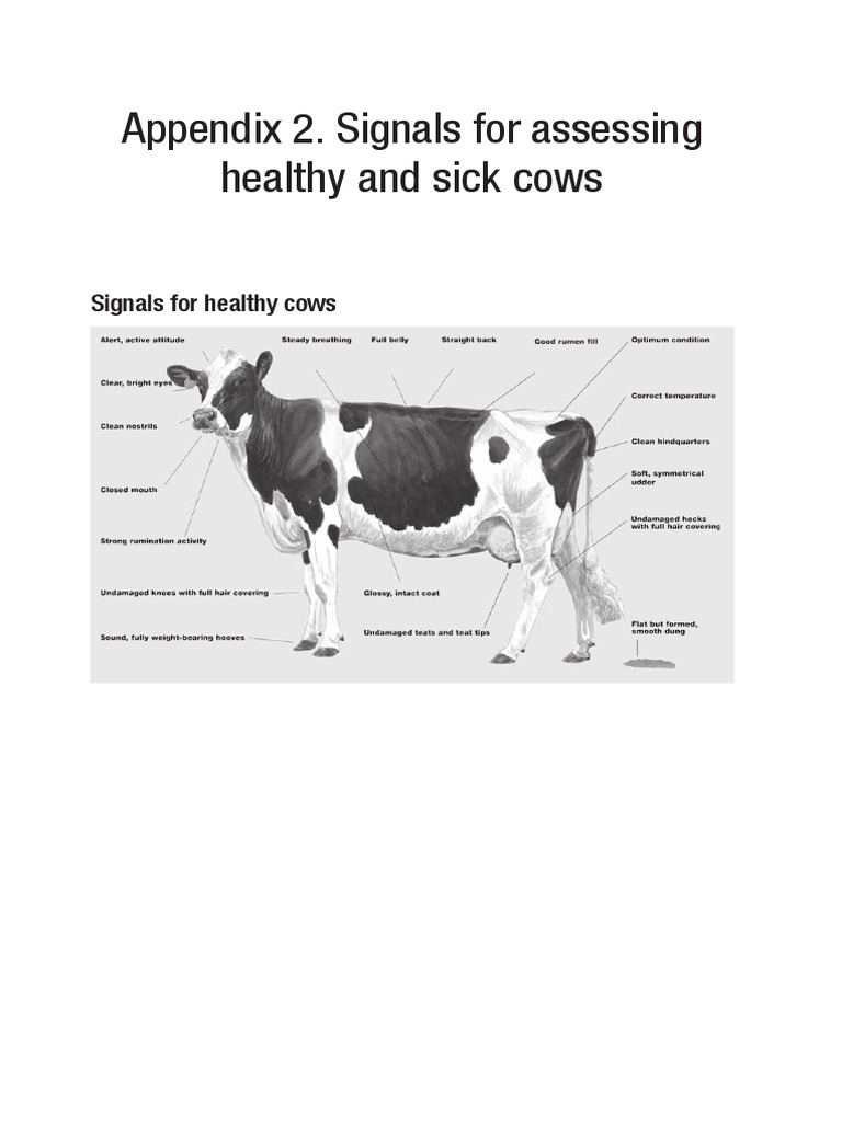 animal-health-checklist-pdf-cattle-wellness