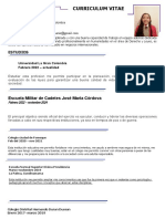 Curriculum Vitae Español