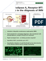 Anti-Phospholipase A Receptor IIFT: A Milestone in The Diagnosis of IMN