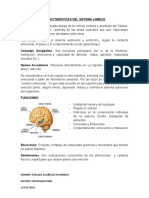 Caracteristicas Del Sistema Limbico