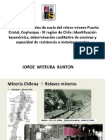 Proyecto Jorge Wistuba B