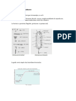 Alte tipuri de reproducere  schema lectiei cls aVIIa