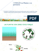 1 Ciencias Clase Las Plantas