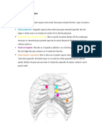 Puntos de Auscultacion Cardiaca