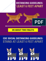 Social Distancing Dogs