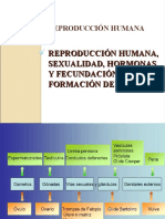 Reproduccion-Humana Diapositivas Complem