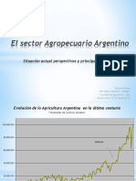 El-Sector-agropecuario-argentino-Roberto-Bisang-