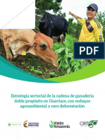 Vision Amazonia Ganaderia Guaviare