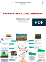 Ciclo Del Nitrogeno