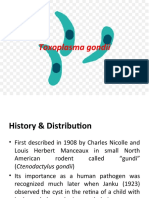 Toxoplasma Gondii