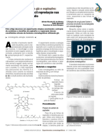 Cromatografando Com Giz e Espinafre - Experimento