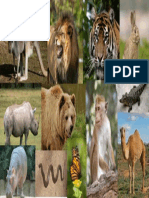 AnimalCollage.png