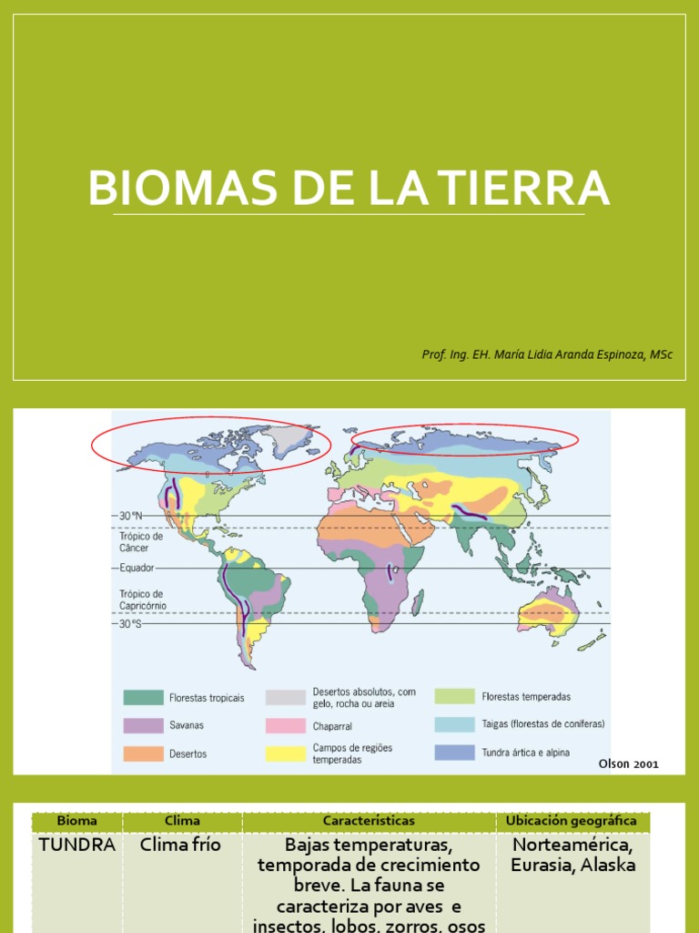 Biomas de la Tierra: Climas y Características | PDF | Desierto | Clima