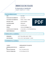 Curriculum Viate Modelo