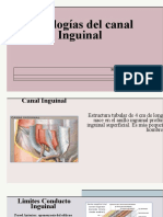 Patologia Inguinal 