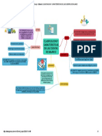 Mapa Mental Clasificacion y Caracteristicas de Las Cuentas de Balance