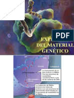 Biol 024 Clase 16 y 17 Expresión Genes 2021