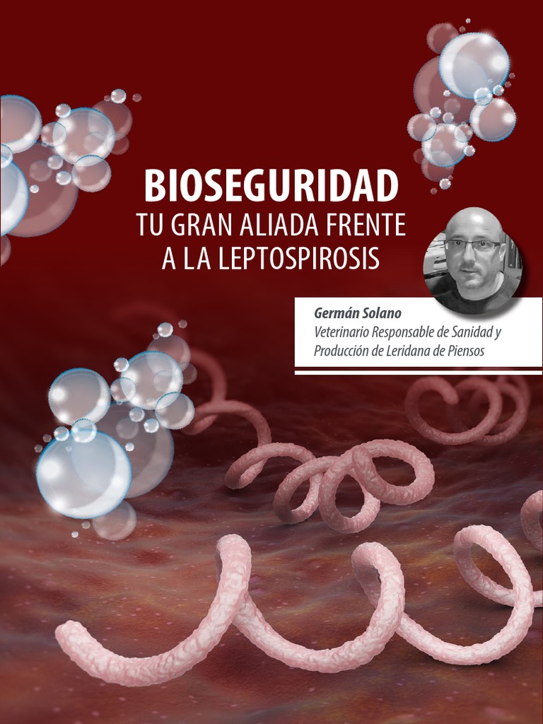 Bioseguridad contra Leptospira en cerdos | PDF | Agua | Salud pública