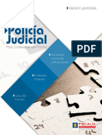 FUNCIONES POLICIA JUDICIAL COMISARIAS DE FAMILIA