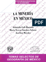 6.1.2.b.a. 2 2002 CollSanchezMorales La Mineriaenmexico TSGM PDF