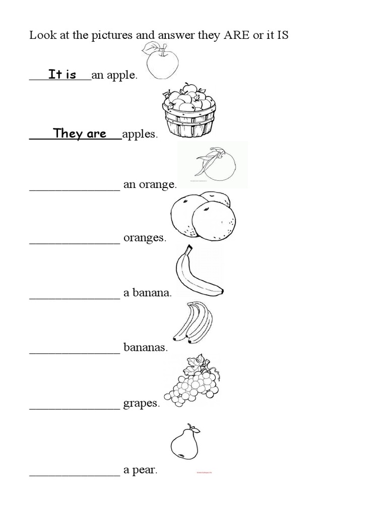 Fruit Identification Exercise | PDF