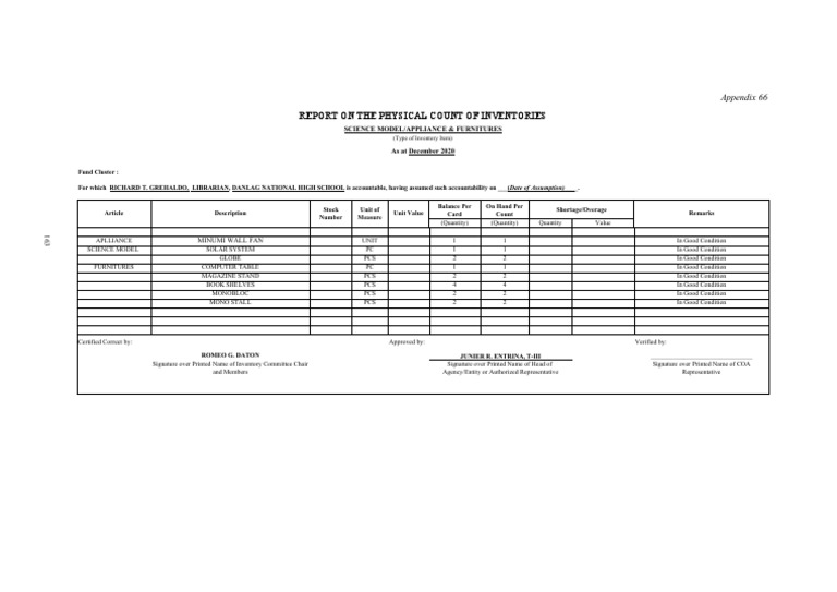 Inventory Count Report - Appendix 66 | PDF | Inventory | Computing And ...