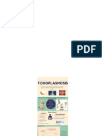 infografia toxoplasmosis