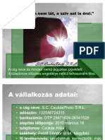 Valalkozasi terv