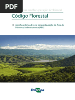 agrofloresta biodiversa para restauração de APP
