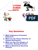 Analyzing Consumer Behavior: Key Questions and Theories