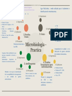 Mapa conceptual - microbiologia