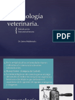 Inmunologia Veterinaria 1 PDF